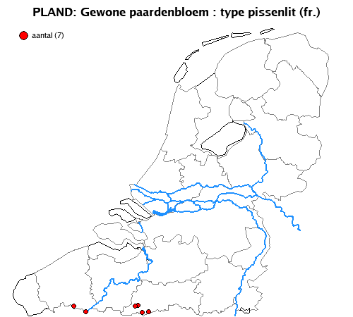 pissenlit (fr.)